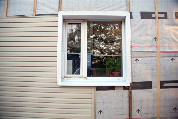 Best Residential Vinyl Siding Installation  in Vley Grande, AL